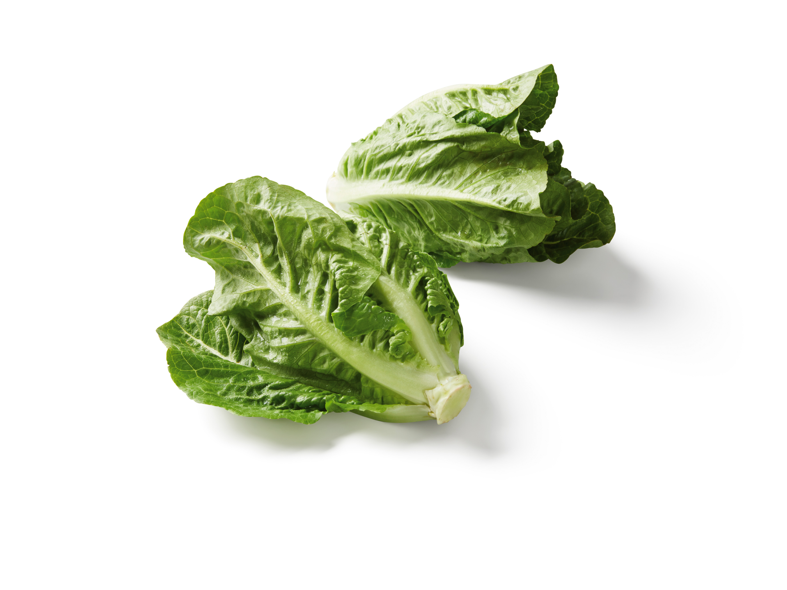 Mini Romana Salat
