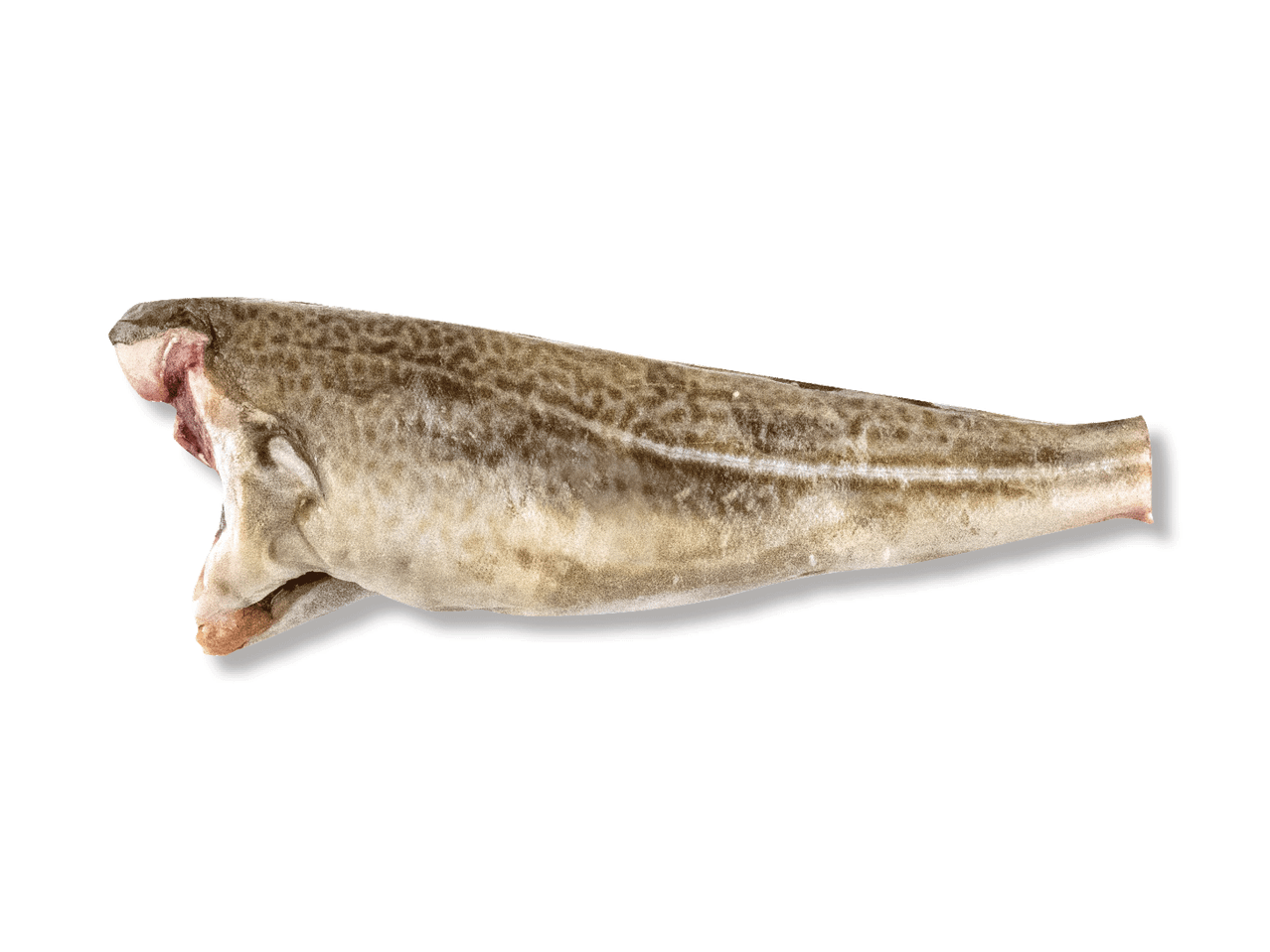 Külmutatud tursk, pea ja sisikond eemaldatud, valmis toiduvalmistamiseks