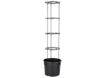 Parkside® Tomato Planter with a black pot and a multi-tiered support cage.