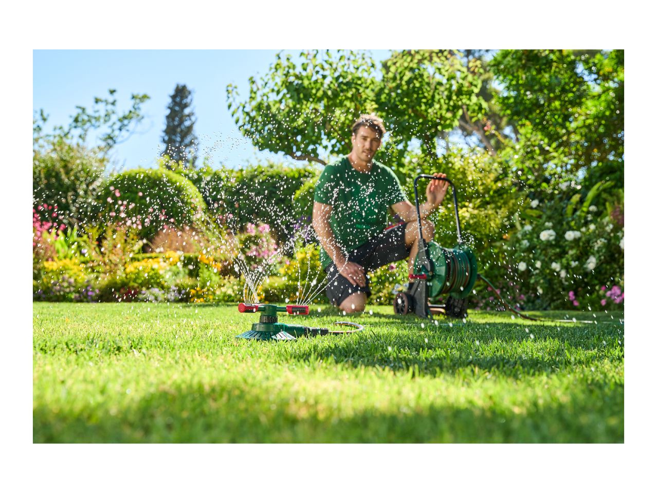 Man watering a garden with a sprinkler and hose reel cart on a sunny day.