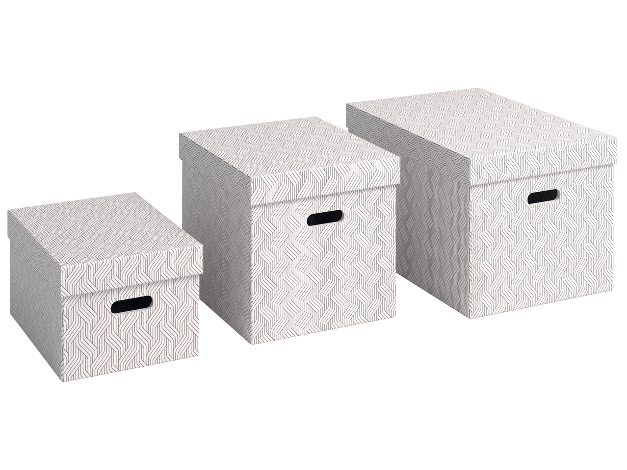 Três caixas de arquivo Von Leitz brancas com um padrão geométrico de linhas pretas.