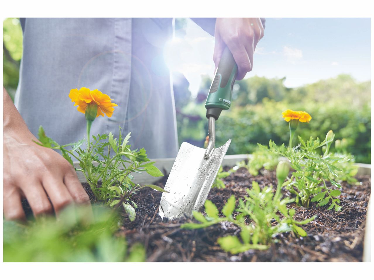 Petit outil de jardinage