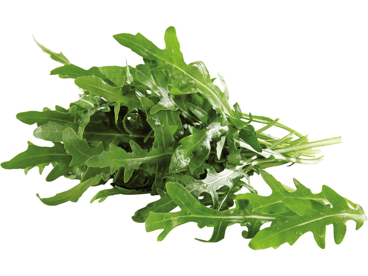 En bukett färsk, grön ruccola.