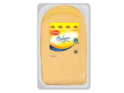 Gouda belegen plakken