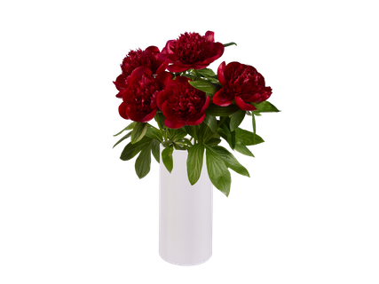 Buchet bujori