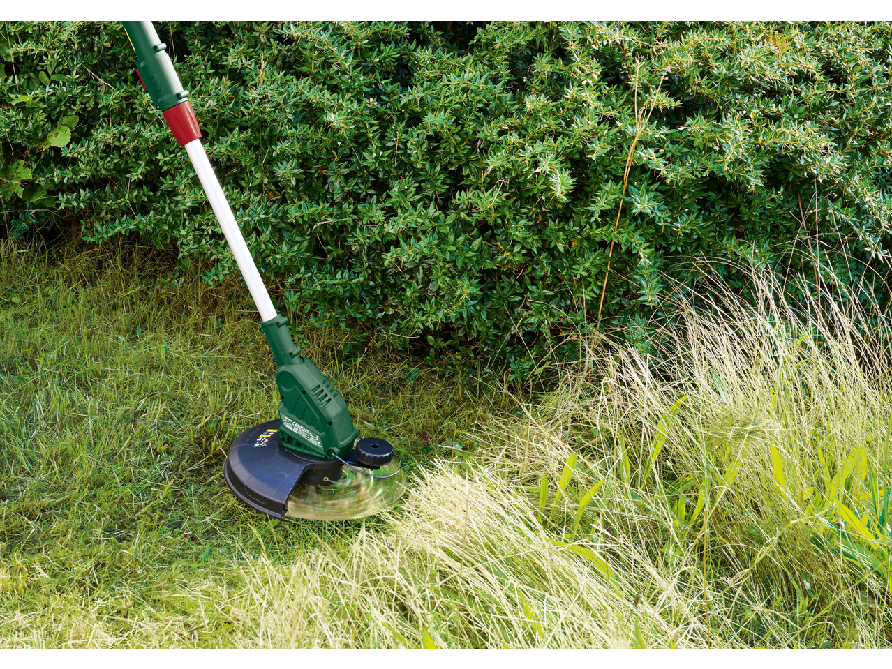 PARKSIDE® 20V Cordless Grass Trimmer cutting tall grass next to a hedge.