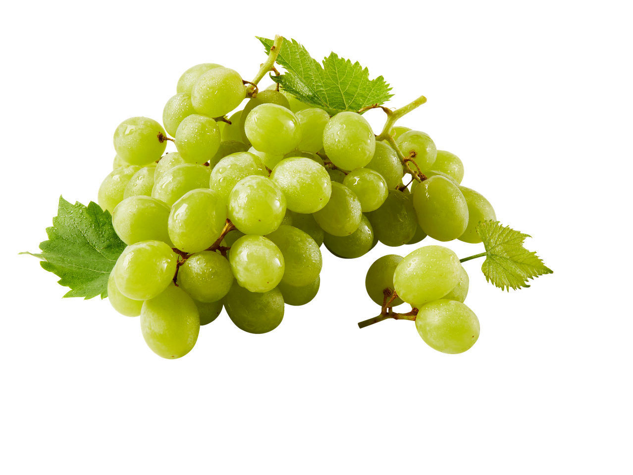 Värsked rohelised viinamarjad lehtedega.