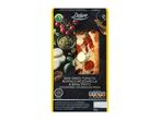 Deluxe pizza: semi-dried tomato, buffalo mozzarella & basil pesto.