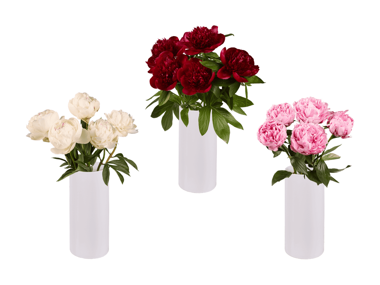 Trois bouquets de pivoines en vases blancs : blanches, rouges et roses.