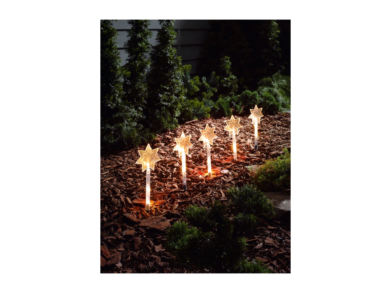 Six star-shaped garden lights illuminate a mulched garden bed with green shrubs.
