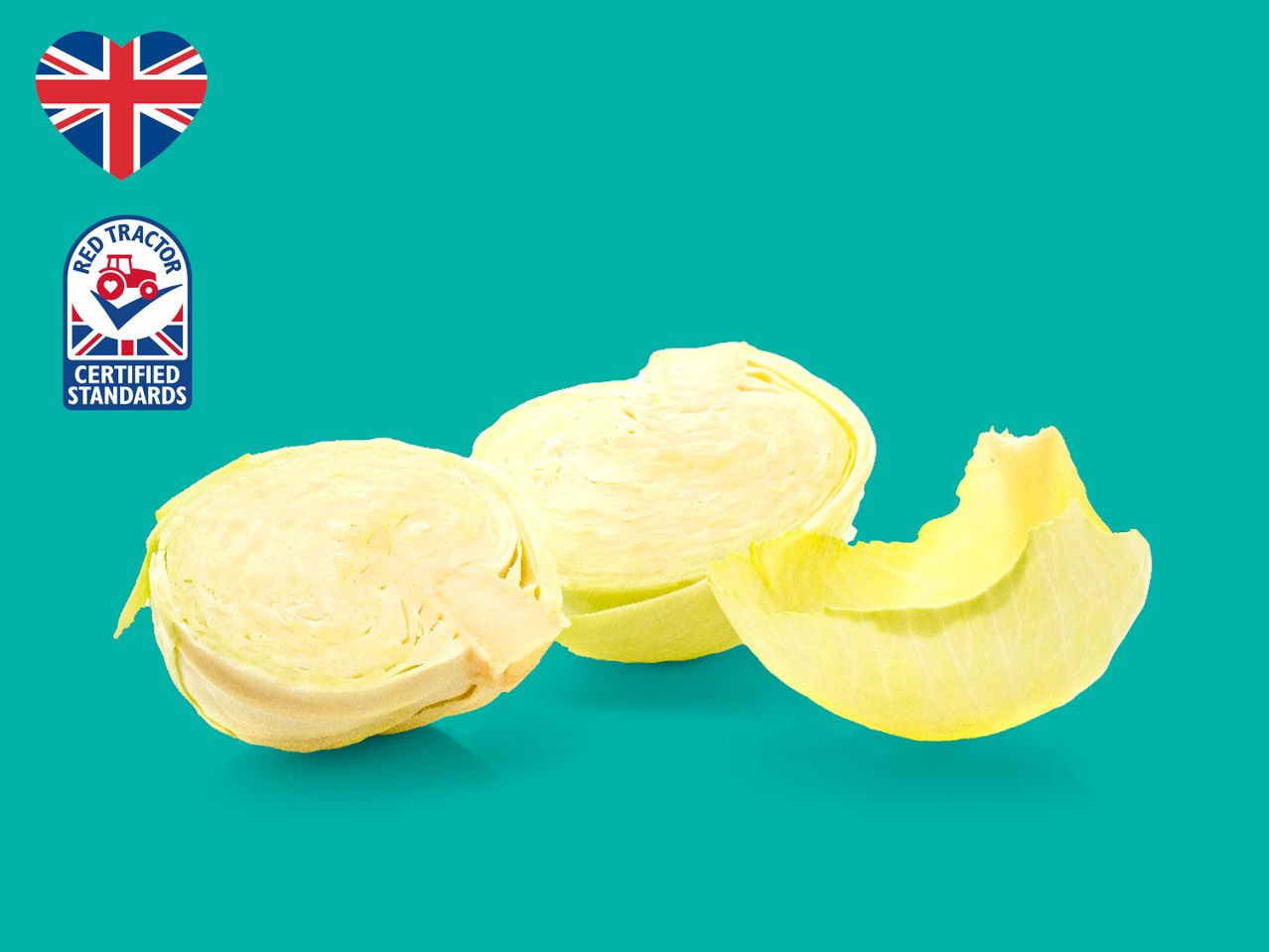 Go to full screen view: British White Cabbage - Image 1