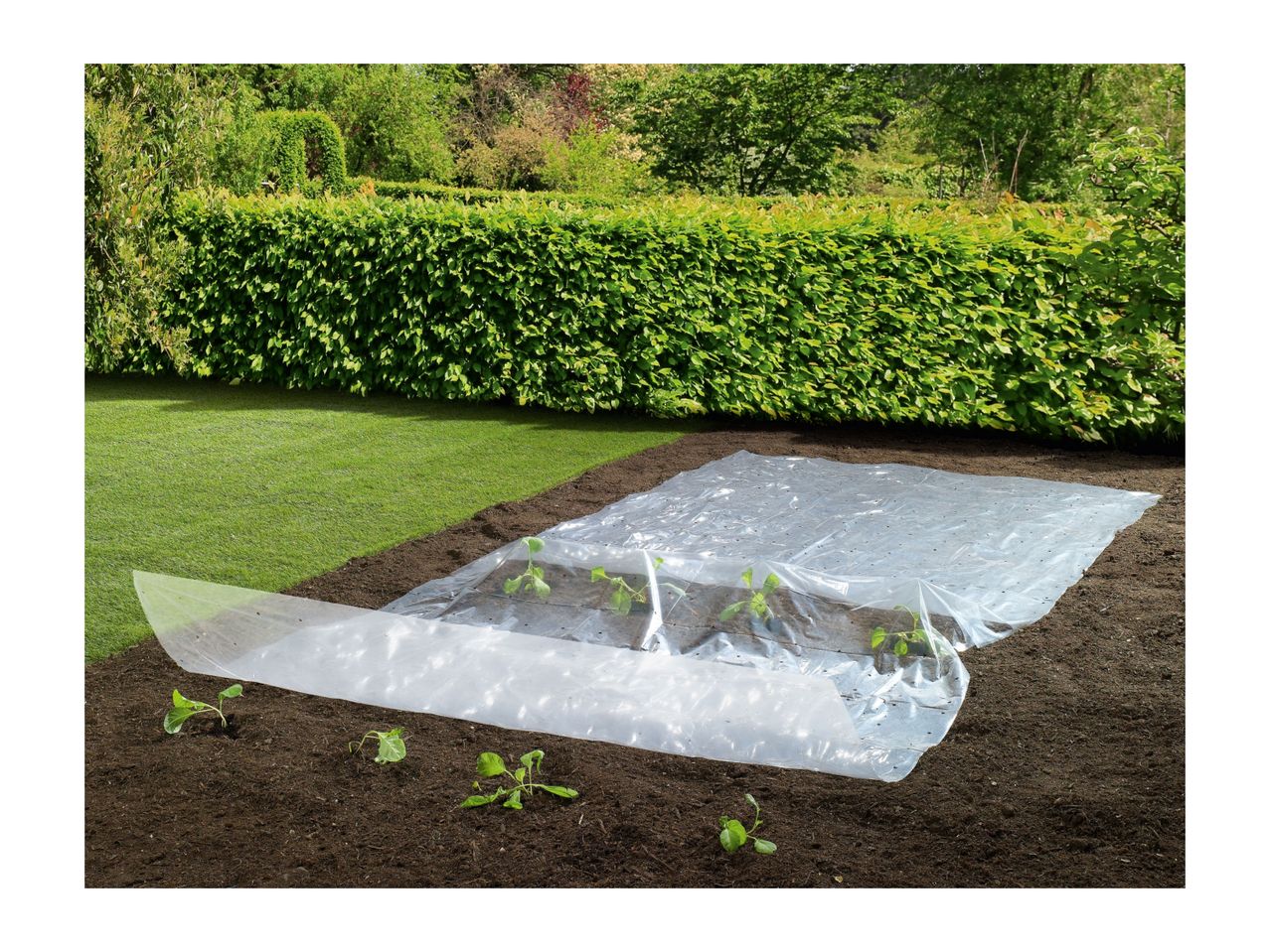 Go to full screen view: Parkside Plant Protection Cold Frame Film - Image 3