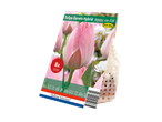 Holland Selection 'Mystic van Eijk' tulip bulb packaging.