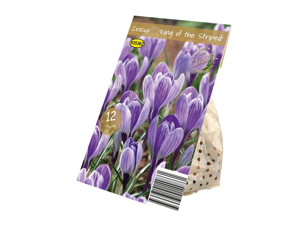 Pack of 12 Crocus 'King of the Striped' flower bulbs