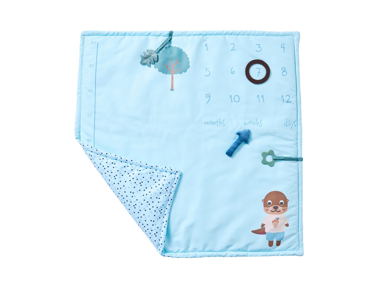 A Baby Milestone Blanket featuring illustrations.