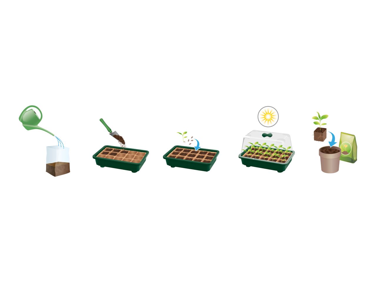 Go to full screen view: Parkside Organic Herbs Mini-Greenhouse - Image 5