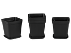 Square black plastic plant pots with saucers.