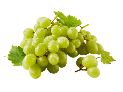 Mag nélküli fehér szőlő