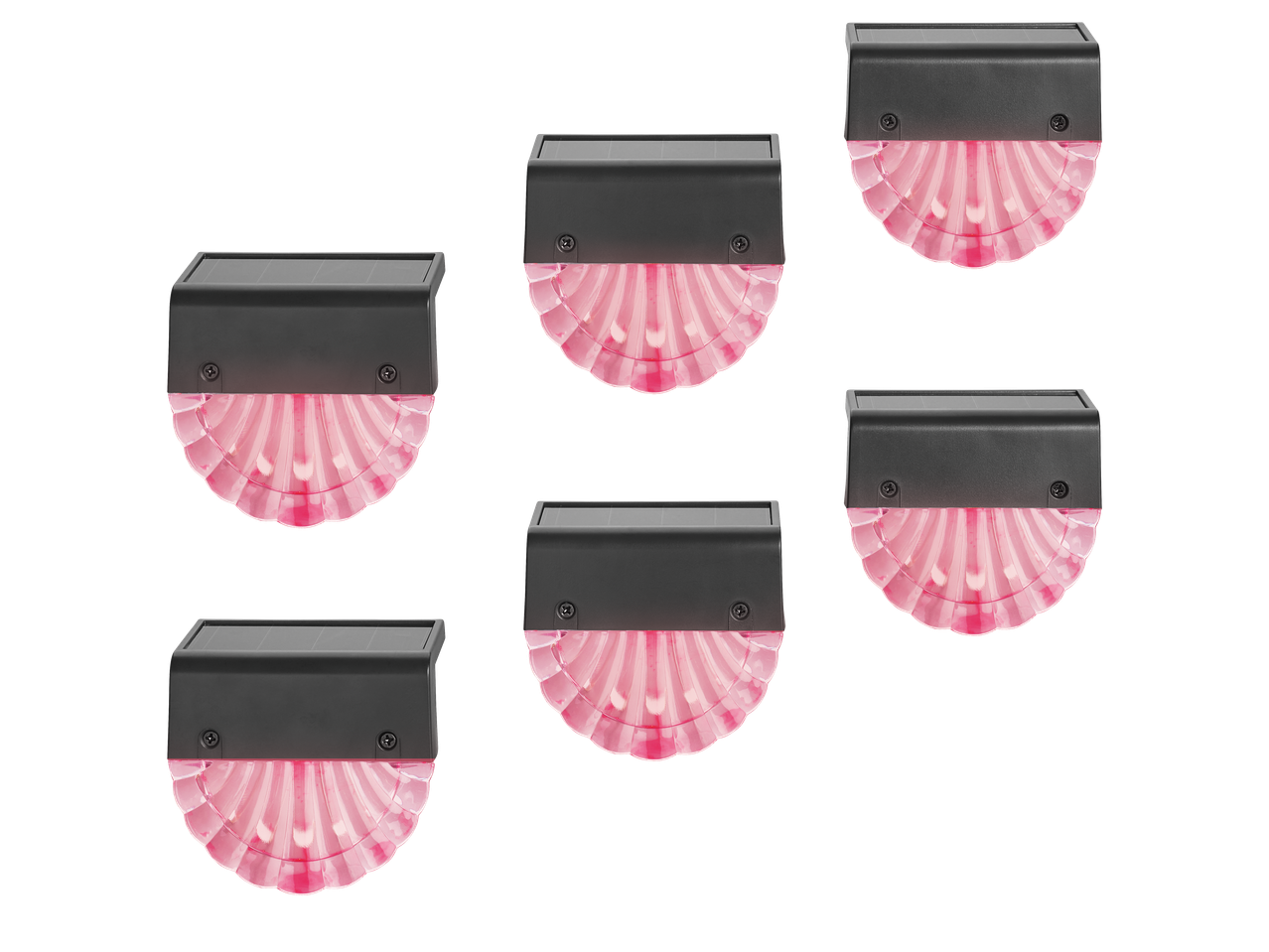 Seis luzes solares LED Livarno com caixa preta e difusor rosa em forma de concha.