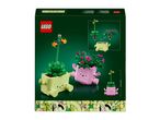 Back of a product box showing two plant pots with faces, one light green and one pink, holding plants.
