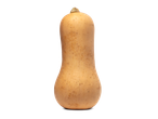 Een flespompoen op een zwarte achtergrond.