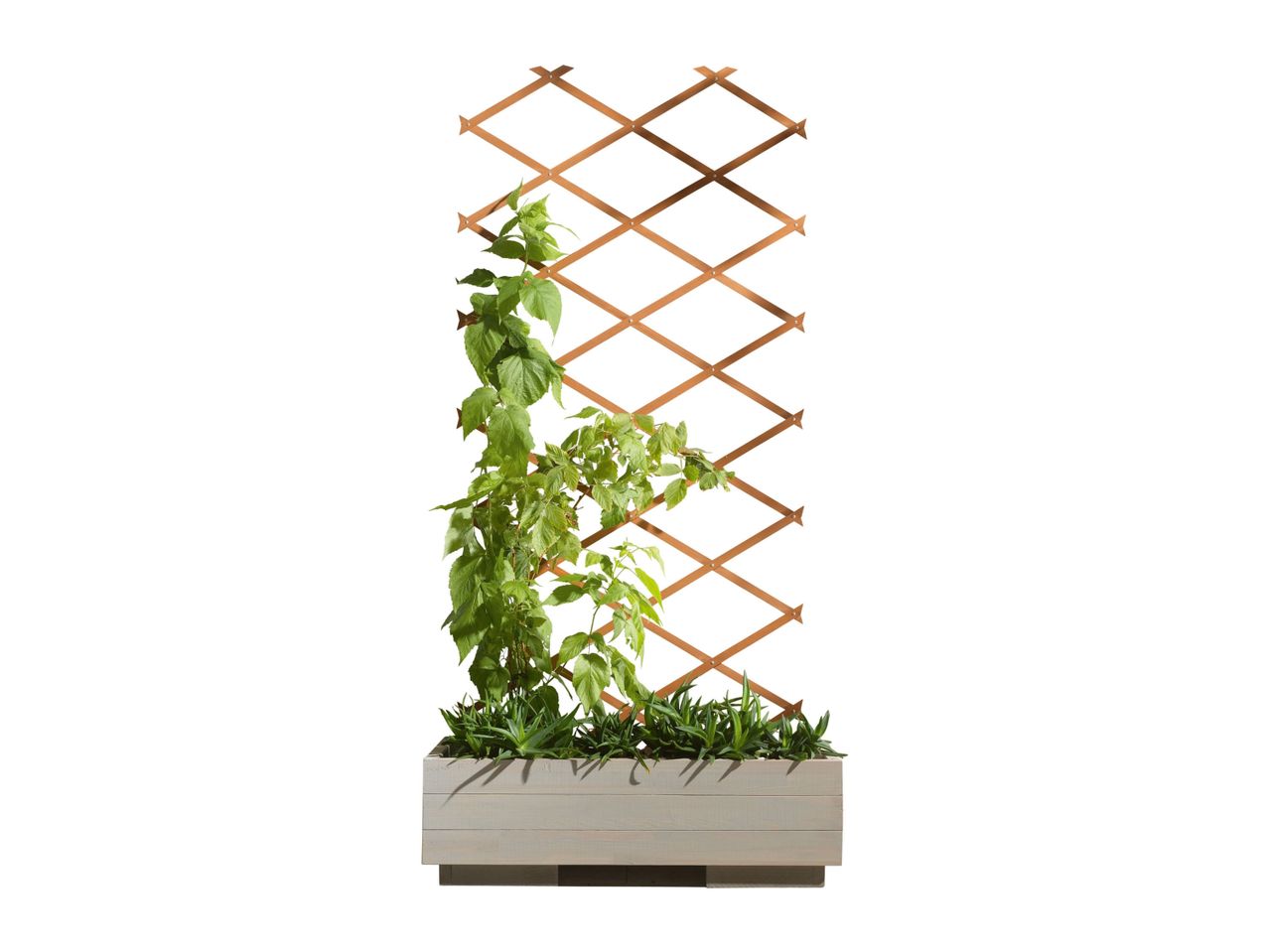 Go to full screen view: Parkside Expanding Wooden Trellis - Image 3