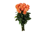 Um buquê de rosas laranja-escuro.