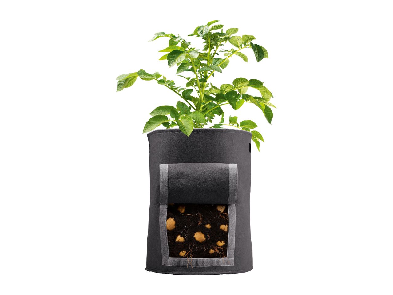 Go to full screen view: Parkside Potato Grow Bags - 2 Pack - Black - Image 4