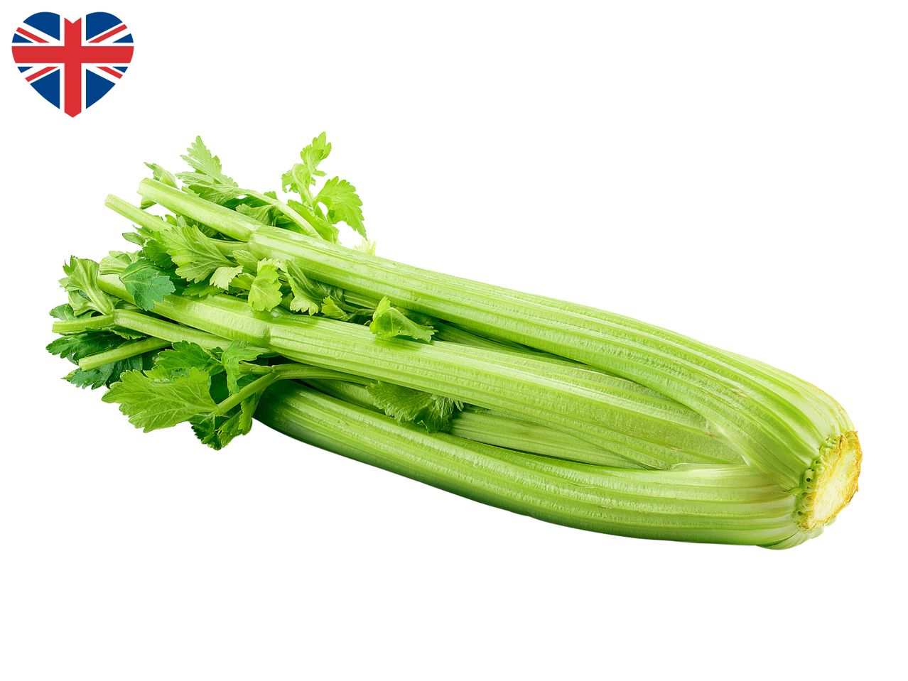 Fresh celery with green leaves and a heart-shaped Union Jack flag.