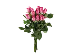 Um ramo de dez rosas cor-de-rosa bonitas.