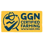 F GGN