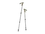 Two green and black trekking poles with cork handles and adjustable straps.