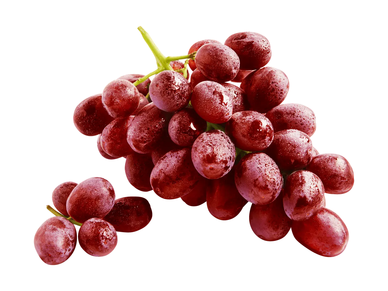 Eine frische rote Weintraube mit Wassertropfen auf schwarzem Hintergrund.
