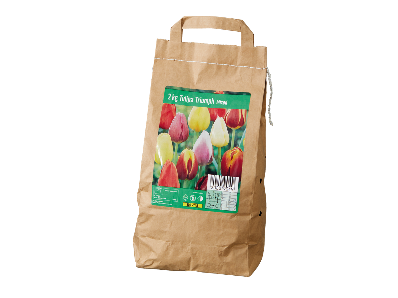 Go to full screen view: Large Pack Tulip Bulbs - Image 1