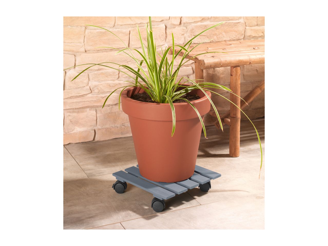 Potted plant on a grey wooden plant caddy with wheels, next to a bamboo bench.