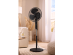 Black pedestal fan in a bright living room with a sofa, side table, and window.
