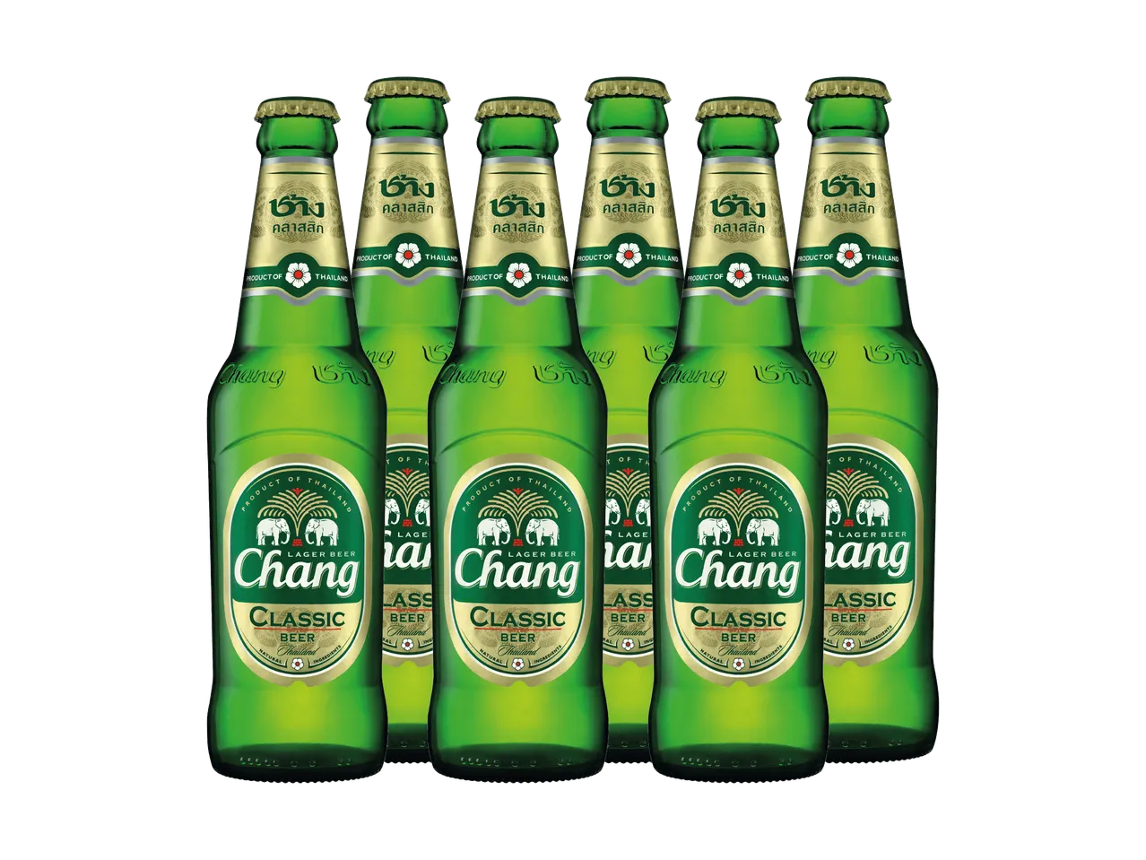 Sechs grüne Bierflaschen mit goldenen Etiketten und thailändischem Text.