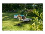 A beagle jumps onto a raised dog bed in a garden with a dog pool and bowl.