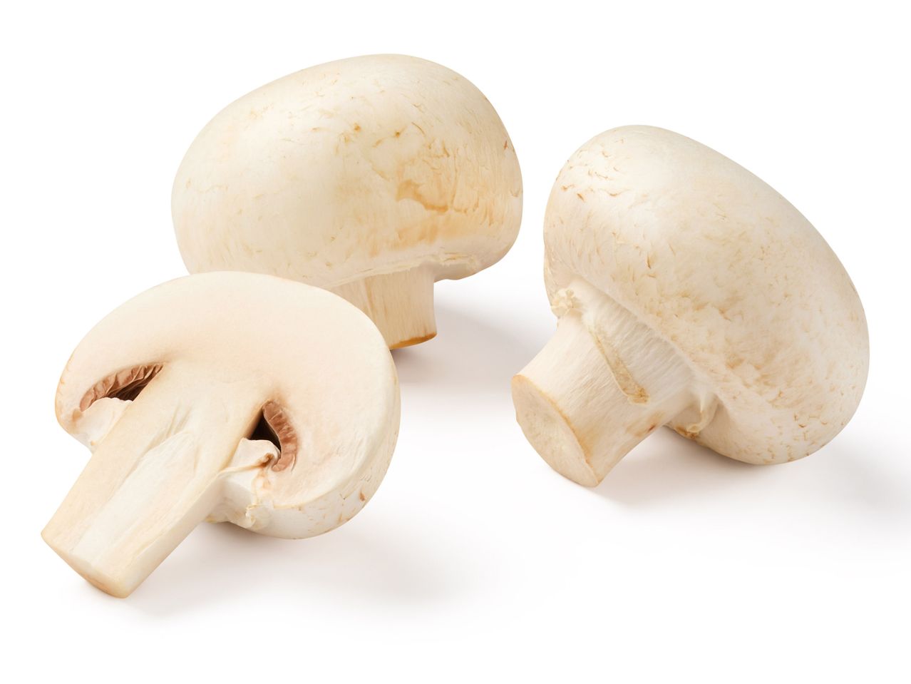 Τρία φρέσκα λευκά μανιτάρια, ένα κομμένο στη μέση, σε λευκό φόντο.