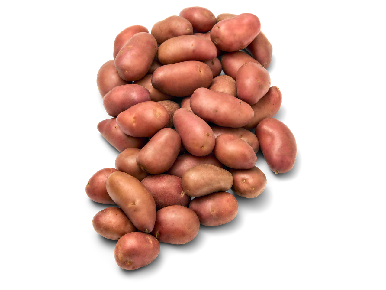 Een hoop rode kriel aardappelen.