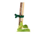 Green plant clip securing a plant stem to a wooden support stick.