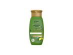 Cien Nature's Beauty Champô de Oliva Mediterrânea para cabelo seco e danificado.