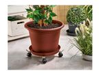 Adjustable plant caddy with wheels supporting a large potted plant on a patio.