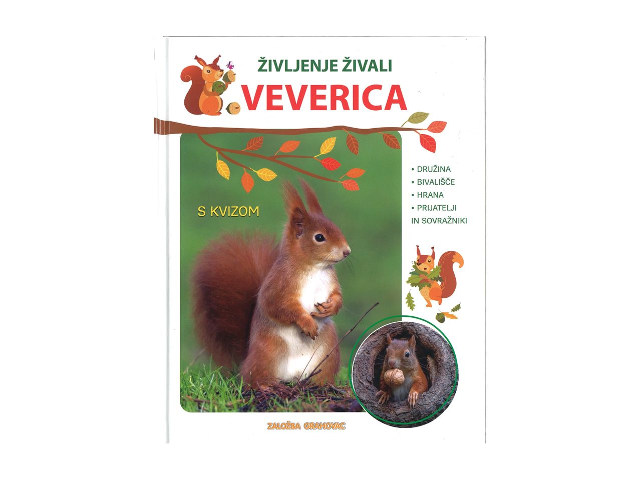 Pojdi na celozaslonski pogled: Življenje živali, Veverica – Slika 1