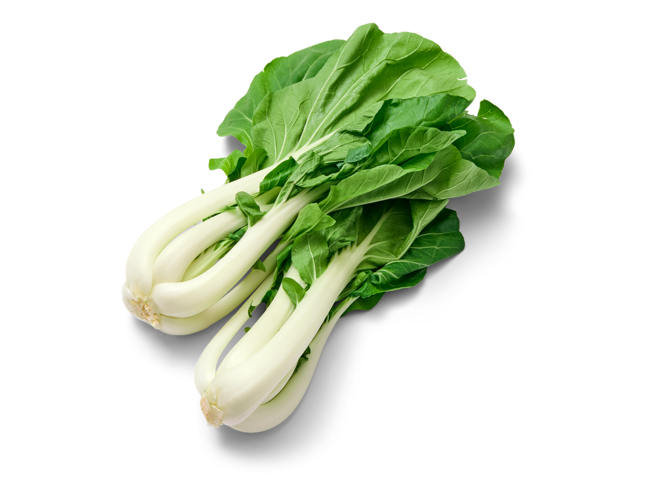 Verse bok choy met frisgroene bladeren en knapperige witte stelen.