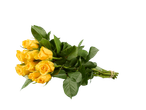 Buquê de rosas amarelas em fundo preto.