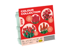 Paket lukovica Colour Collection sa crvenim lalama, zumbulima, anemonama i arumima.