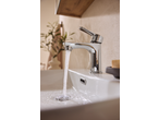 Livarno Mixer Tap with running water in a bathroom sink, with a plant in the background.