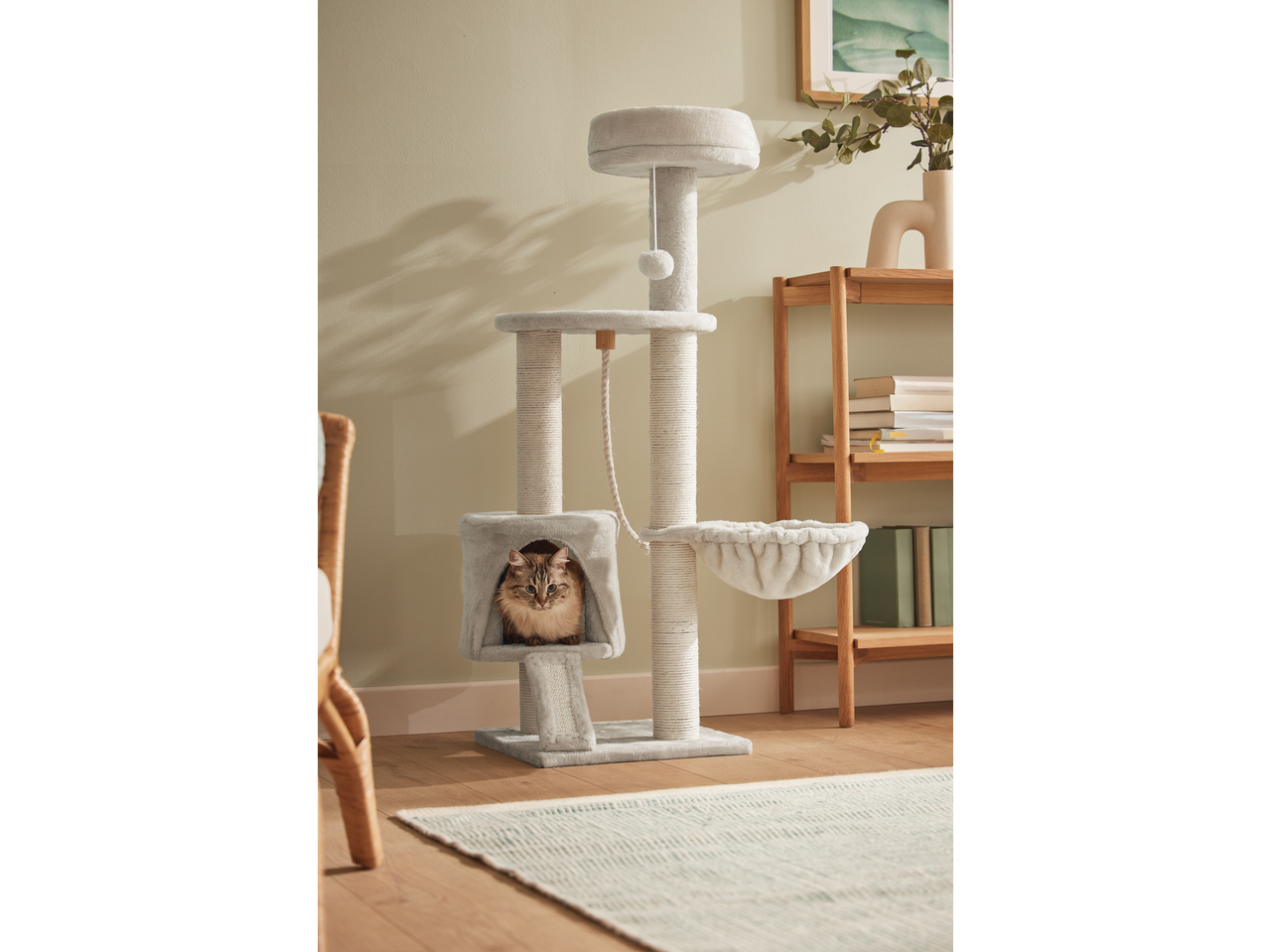 Zoofari Cat Activity Tower with a cat inside, next to a wooden shelf with books.