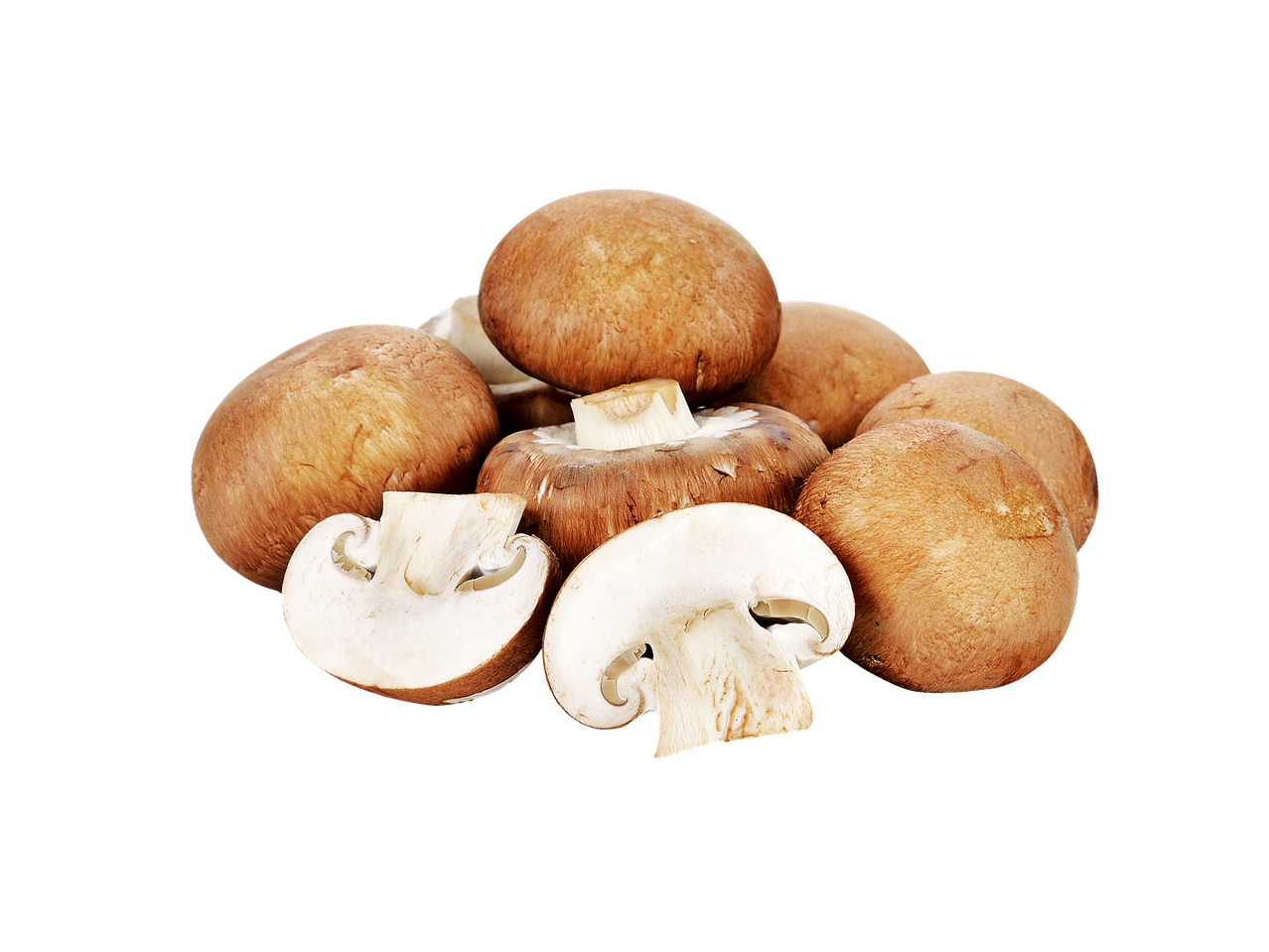 Cogumelos marrons e brancos.